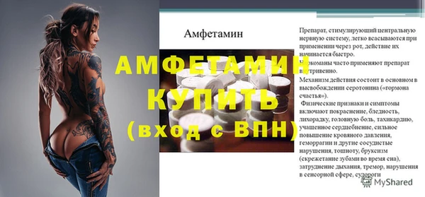 МДПВ Бородино