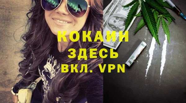 молекула духа Бронницы