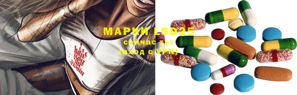 МДПВ Бородино