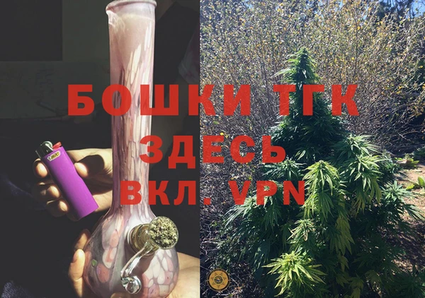 МДПВ Бородино