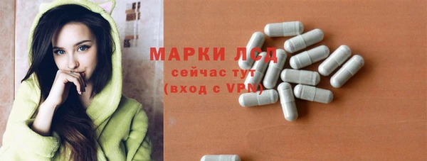 МДПВ Бородино