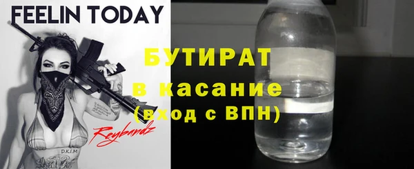 МДПВ Бородино