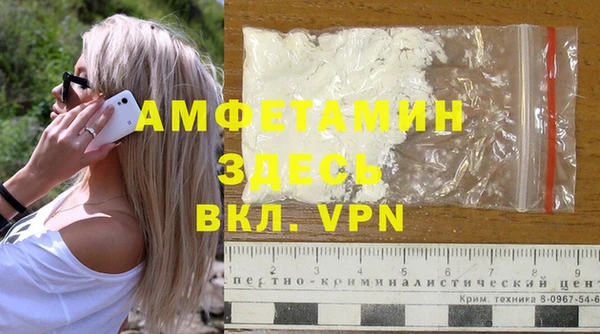 МДПВ Бородино
