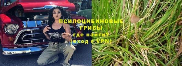 молекула духа Бронницы