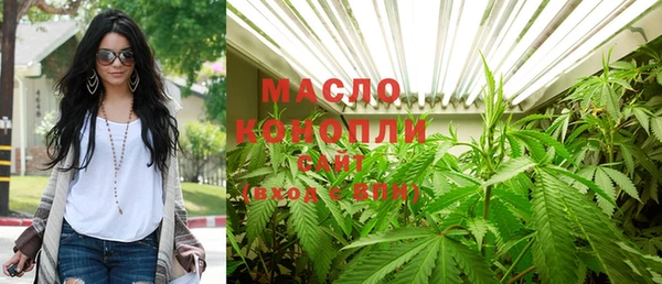 МДПВ Бородино