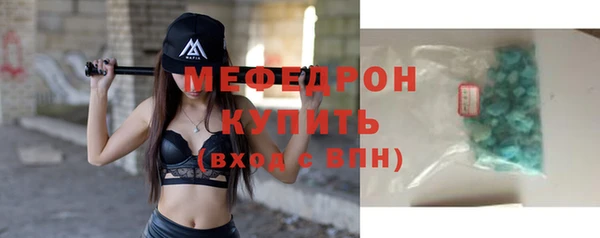 МДПВ Бородино