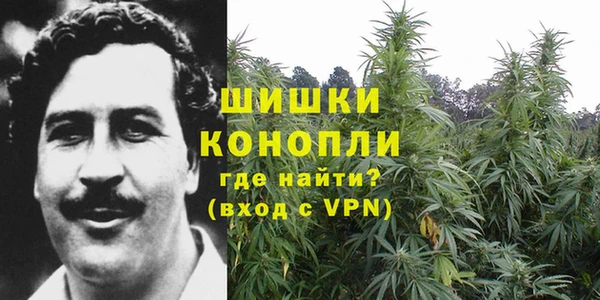 молекула духа Бронницы
