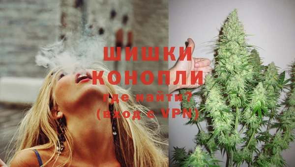 МДПВ Бородино