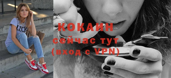 МДПВ Бородино