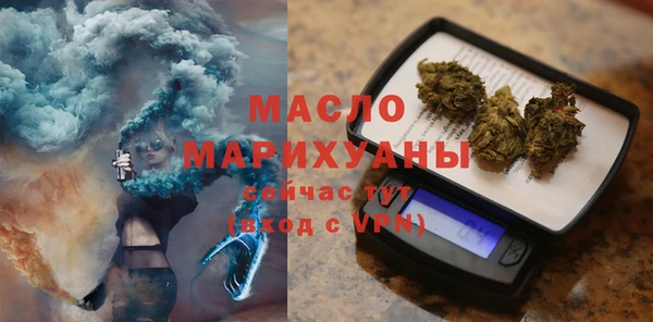 МДПВ Бородино