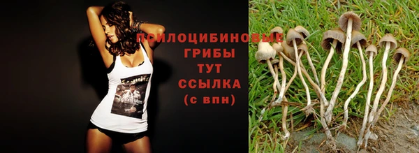 молекула духа Бронницы