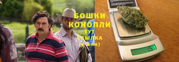 молекула духа Бронницы