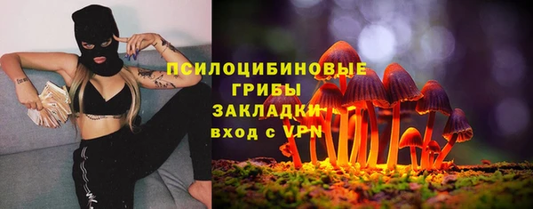 трава Бугульма