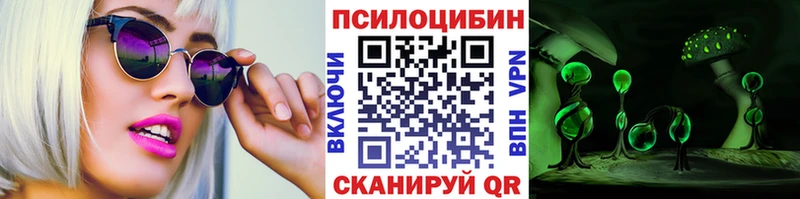 Галлюциногенные грибы Psilocybine cubensis Курлово